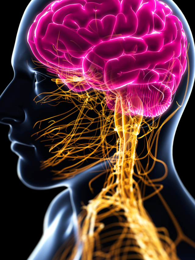 Read more about the article Brain-Boosting Foods For Students