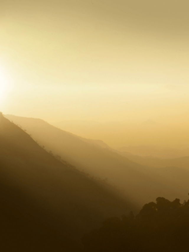 Read more about the article 5 Mindful Habits To Practice Everyday In The Morning